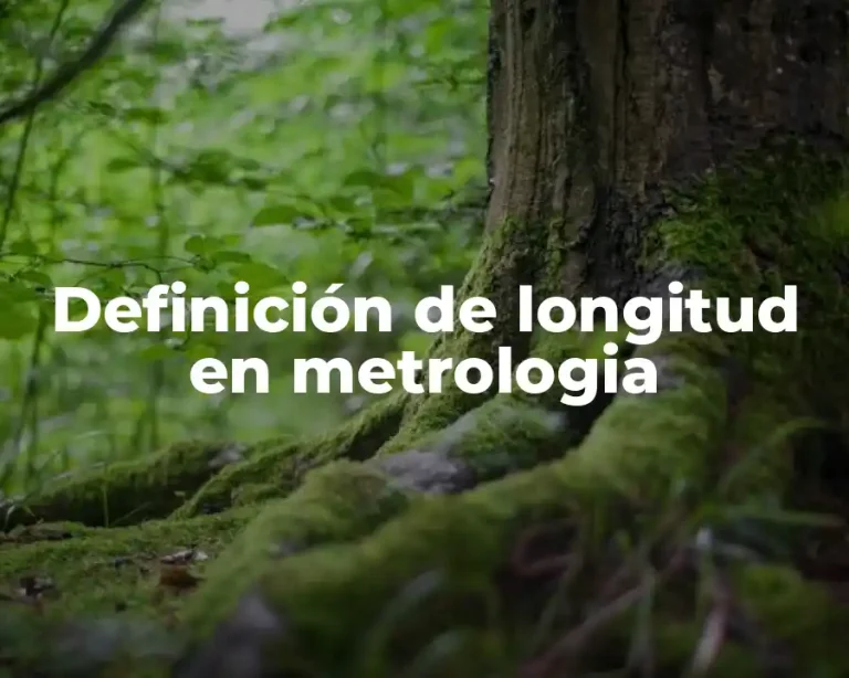 Definición de longitud en metrologia