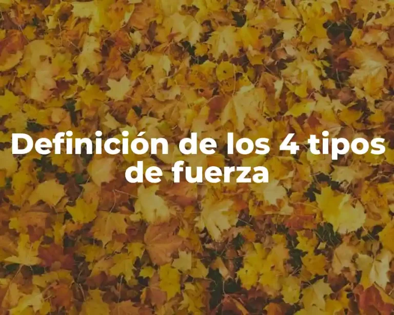 Definición de los 4 tipos de fuerza