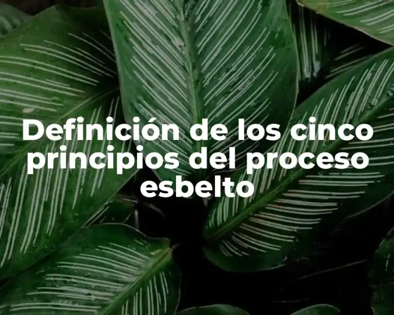 Definición de los cinco principios del proceso esbelto