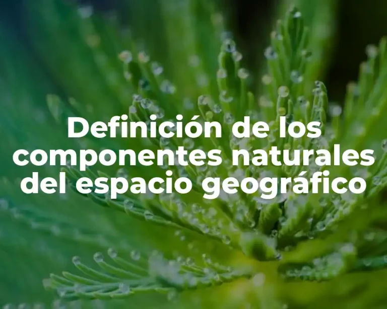 Definición de los componentes naturales del espacio geográfico