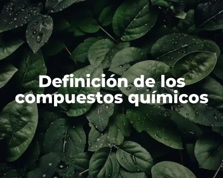 Definición de los compuestos químicos