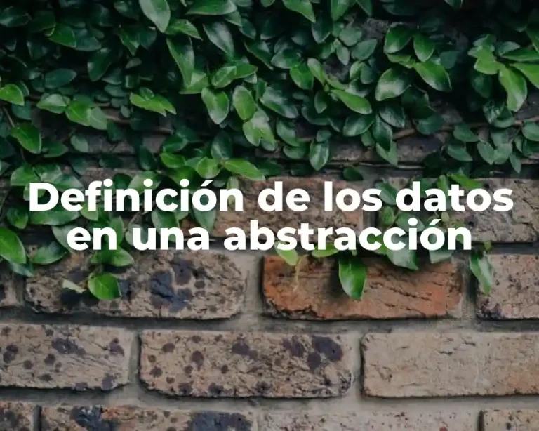 Definición de los datos en una abstracción