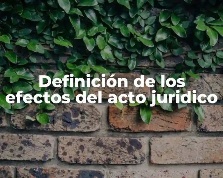 Definición de los efectos del acto juridico