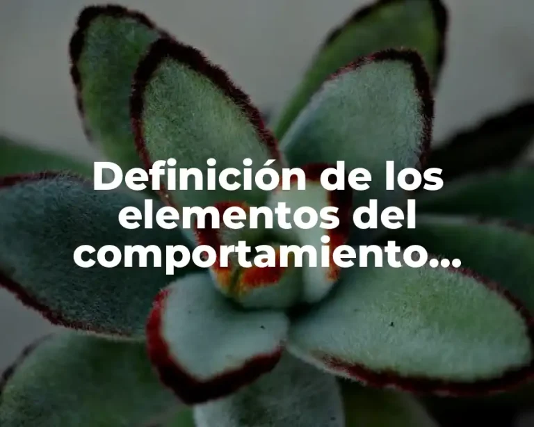 Definición de los elementos del comportamiento individual