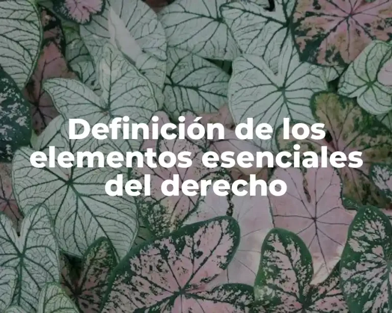 Definición de los elementos esenciales del derecho
