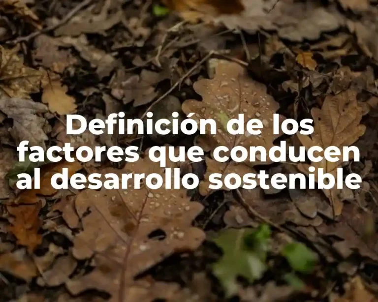 Definición de los factores que conducen al desarrollo sostenible