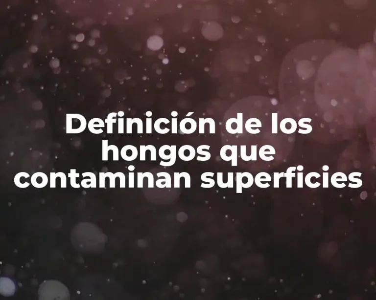 Definición de los hongos que contaminan superficies