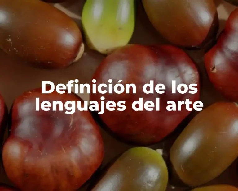 Definición de los lenguajes del arte