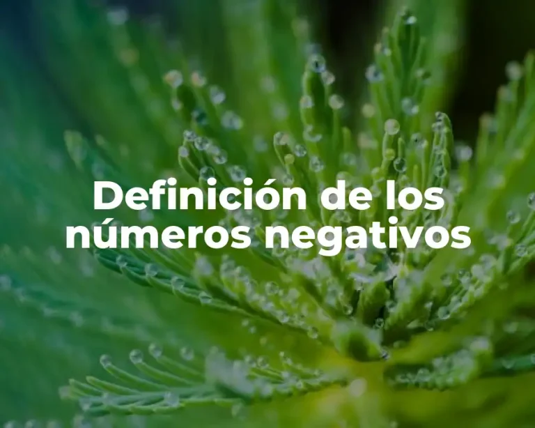 Definición de los números negativos