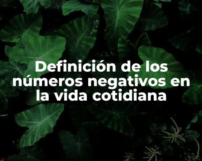 Definición de los números negativos en la vida cotidiana