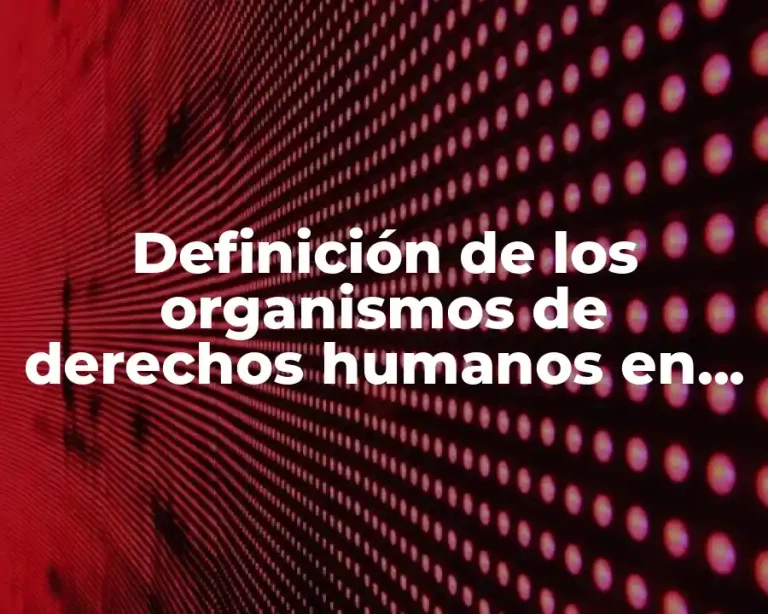 Definición de los organismos de derechos humanos en México
