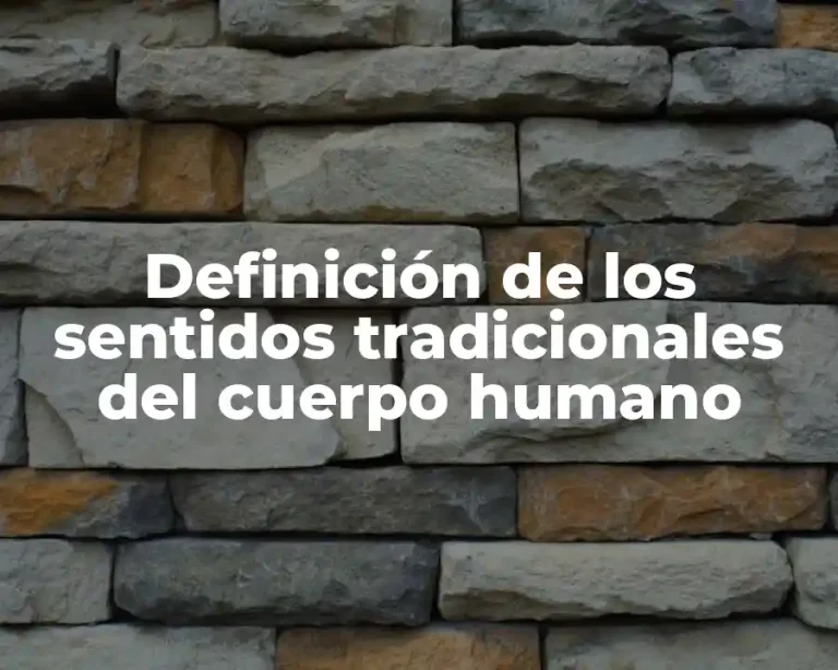 Definición de los sentidos tradicionales del cuerpo humano