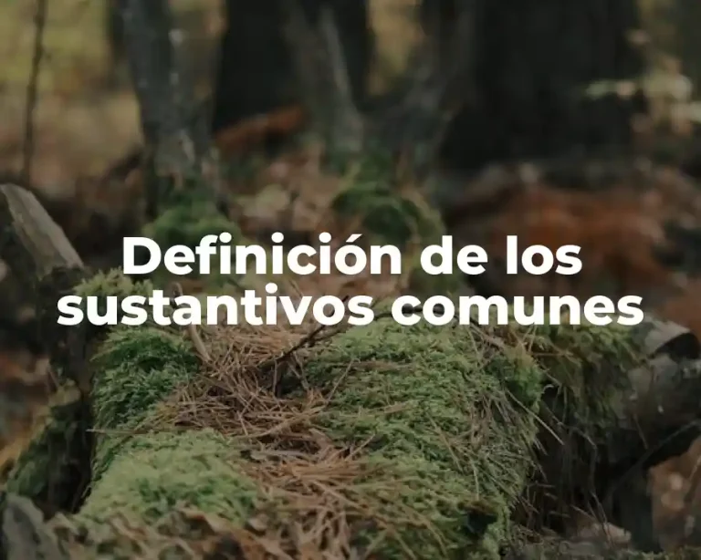 Definición de los sustantivos comunes