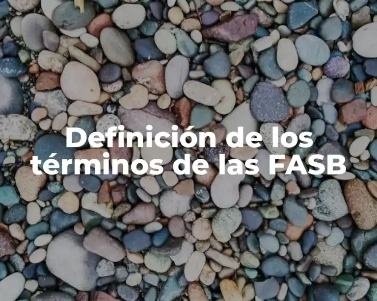 Definición de los términos de las FASB