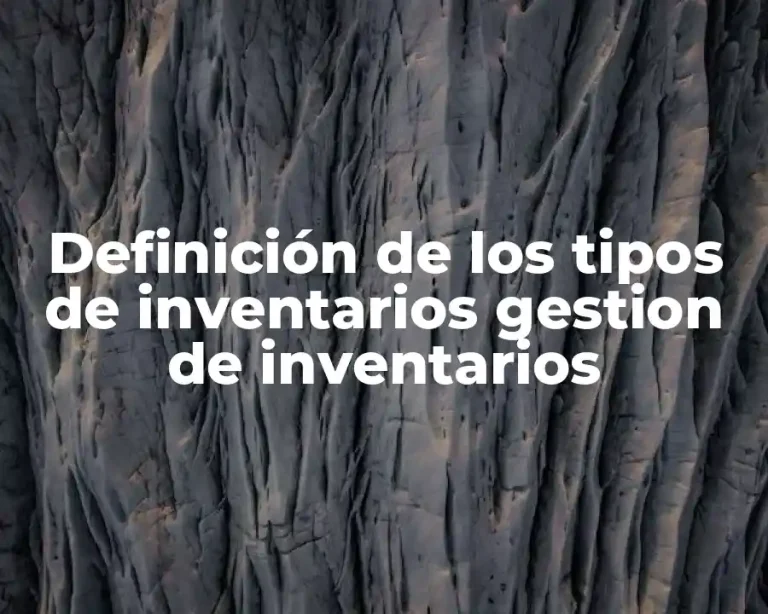 Definición de los tipos de inventarios gestion de inventarios