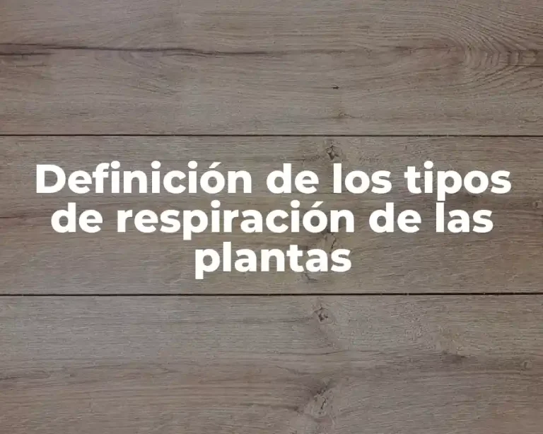 Definición de los tipos de respiración de las plantas
