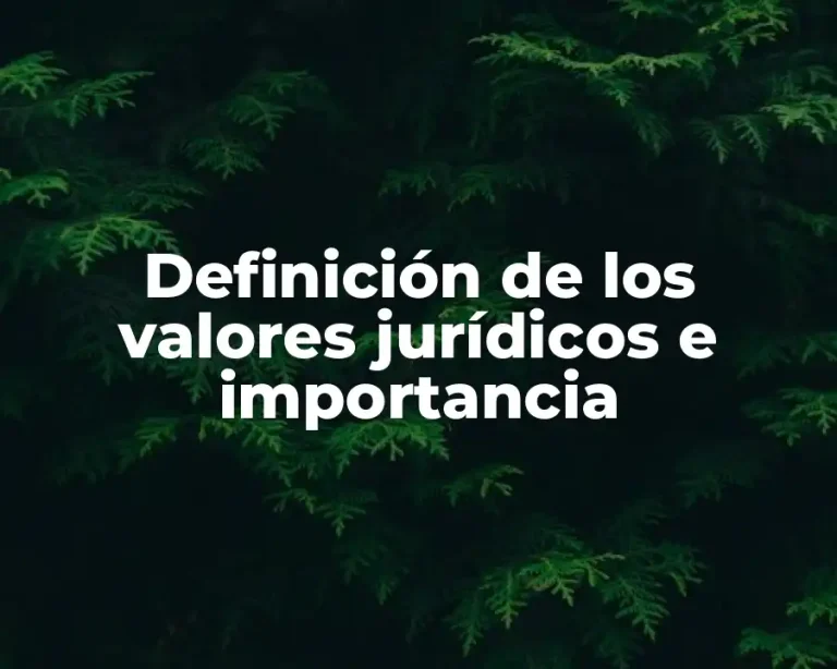 Definición de los valores jurídicos e importancia
