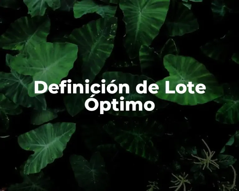 Definición de Lote Óptimo