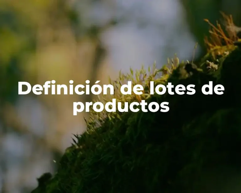 Definición de lotes de productos
