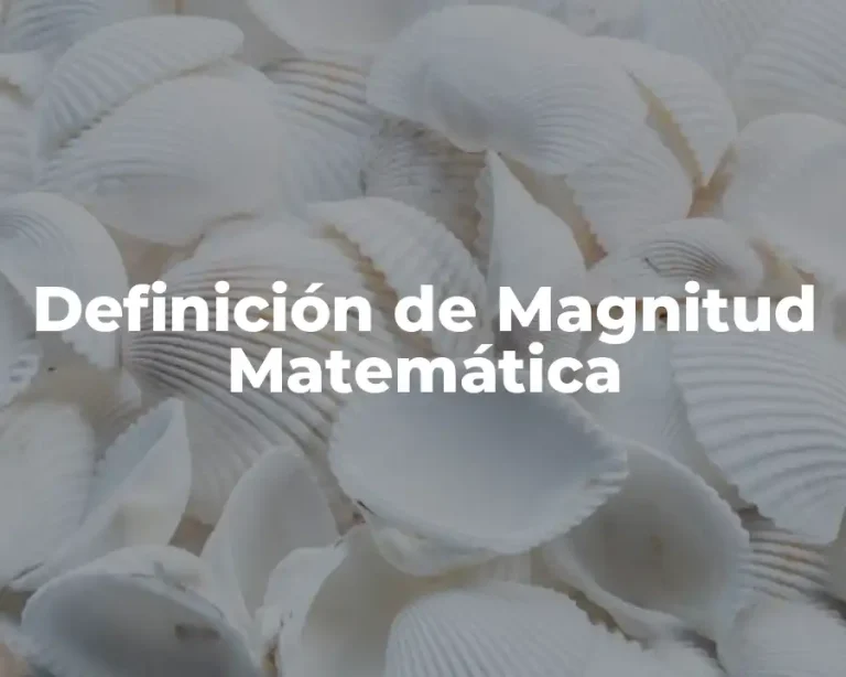 Definición de Magnitud Matemática