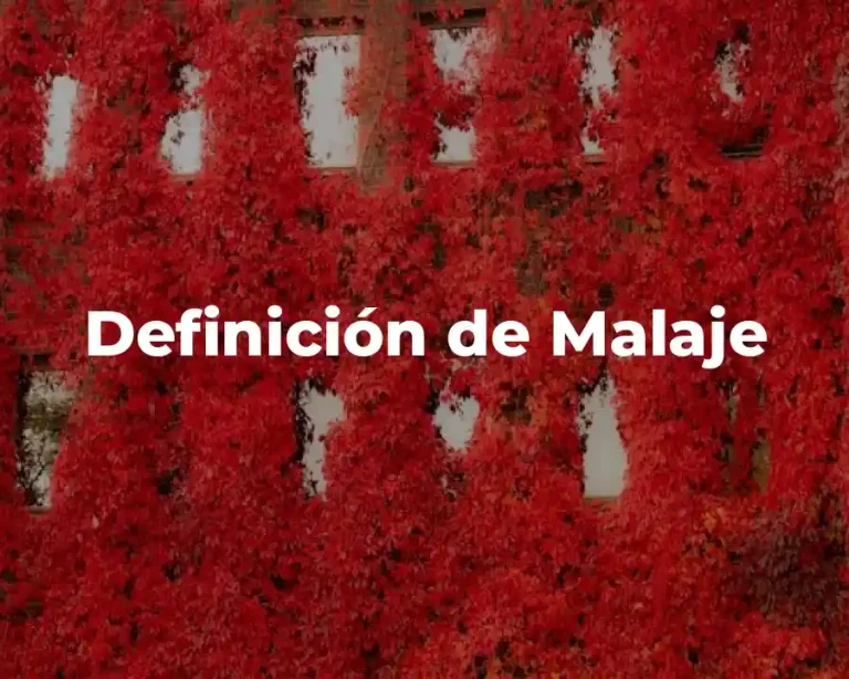 Definición de Malaje