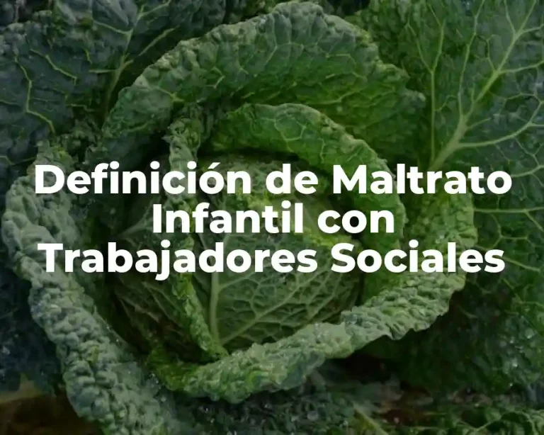 Definición de Maltrato Infantil con Trabajadores Sociales