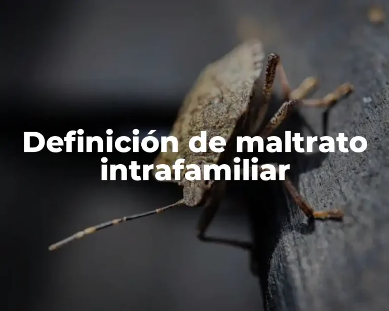 Definición de maltrato intrafamiliar