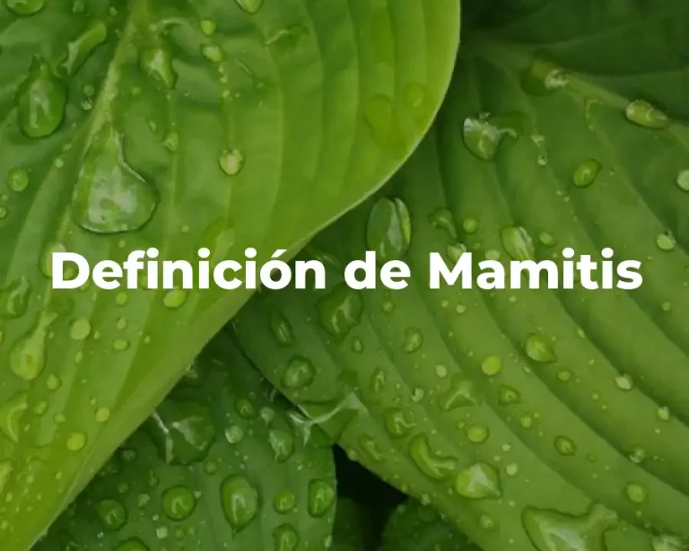 Definición de Mamitis