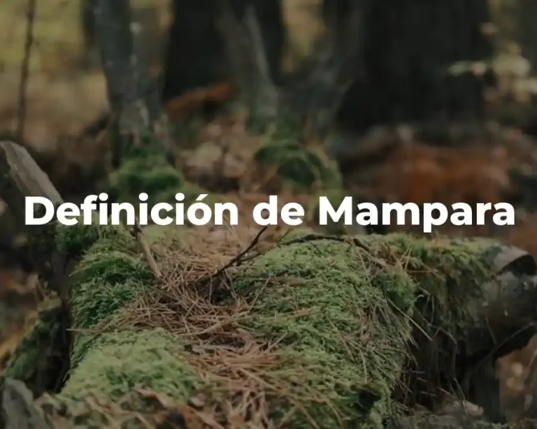 Definición de Mampara