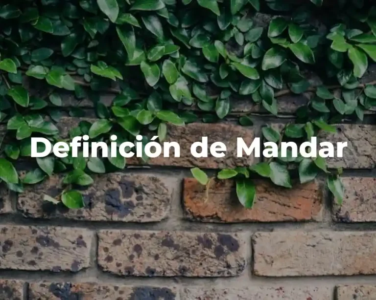 Definición de Mandar