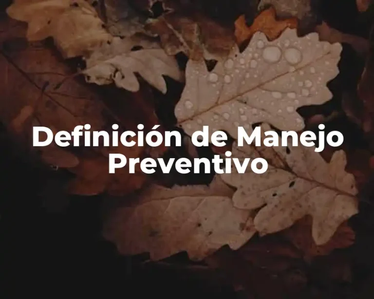 Definición de Manejo Preventivo