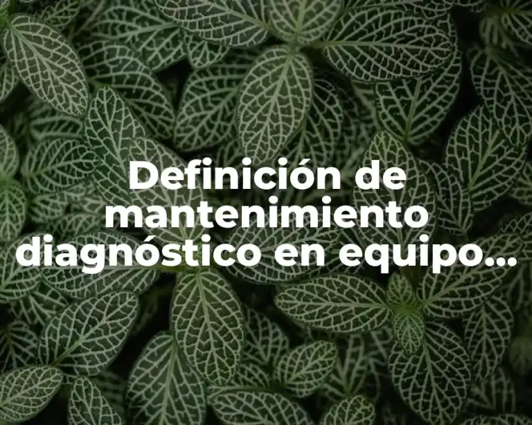 Definición de mantenimiento diagnóstico en equipo de computo