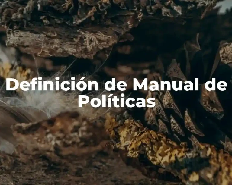 Definición de Manual de Políticas