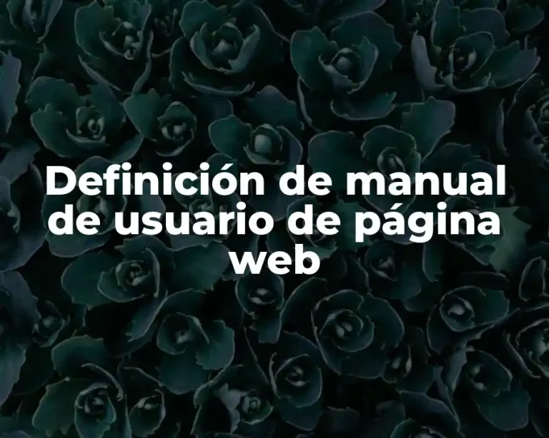 Definición de manual de usuario de página web