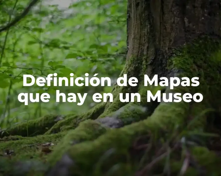 Definición de Mapas que hay en un Museo