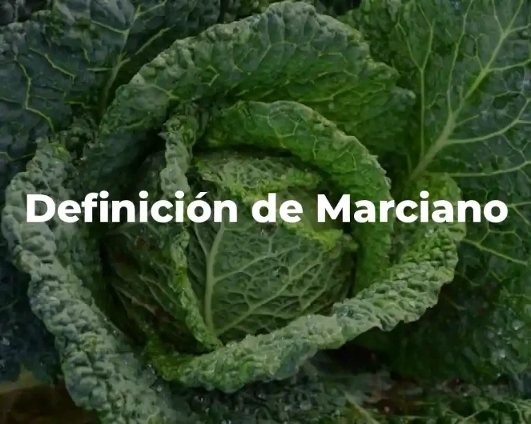 Definición de Marciano