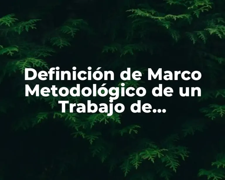 Definición de Marco Metodológico de un Trabajo de Investigación