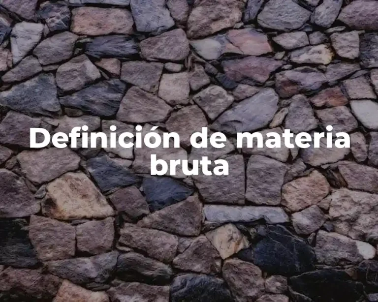 Definición de materia bruta