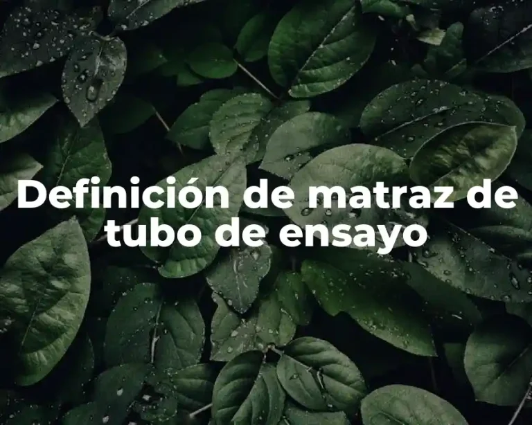 Definición de matraz de tubo de ensayo