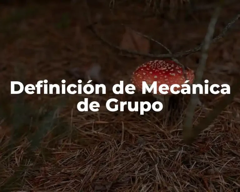 Definición de Mecánica de Grupo
