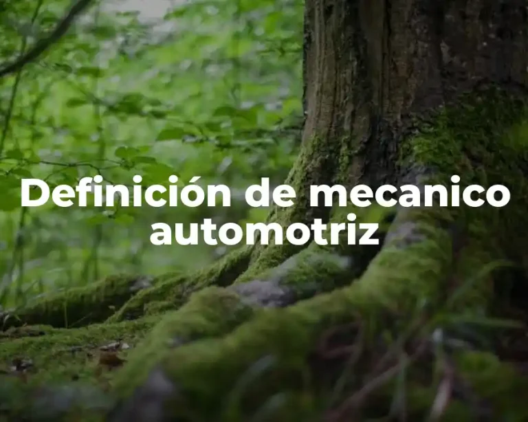 Definición de mecanico automotriz