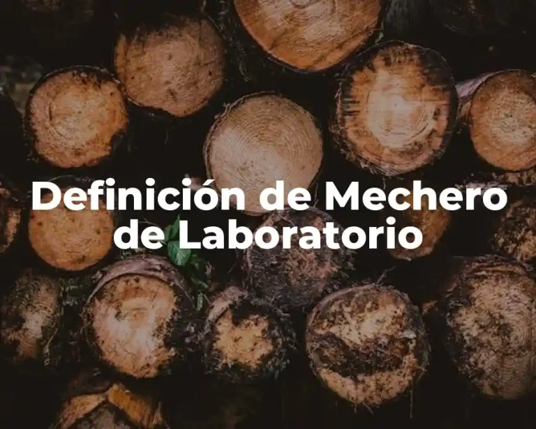 Definición de Mechero de Laboratorio