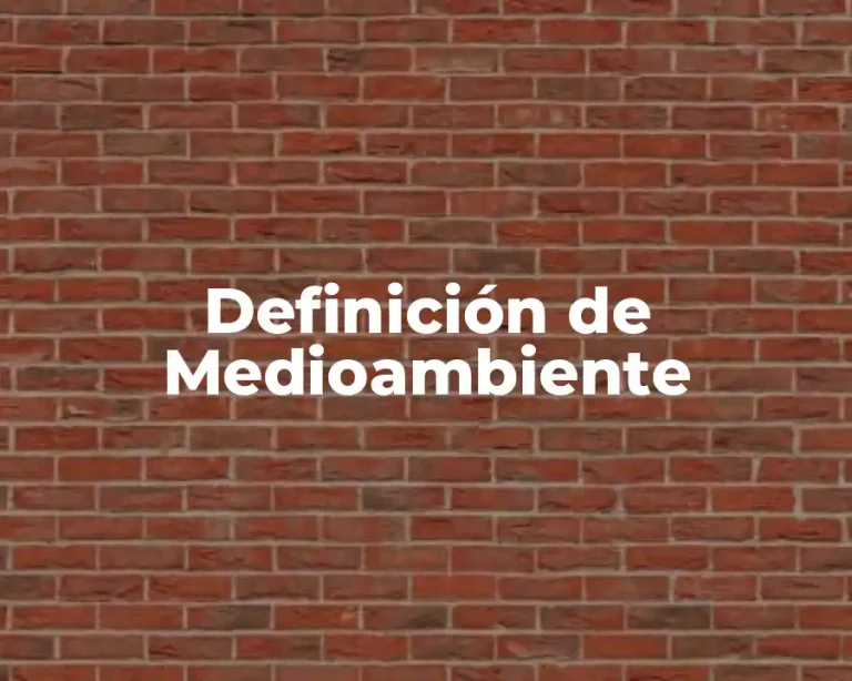 Definición de Medioambiente