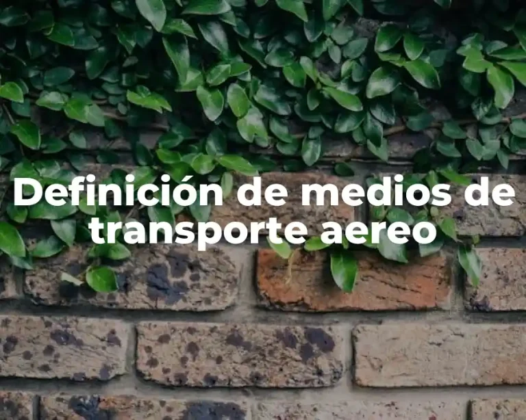 Definición de medios de transporte aereo