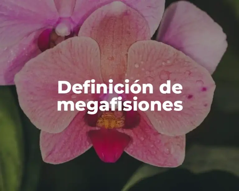 Definición de megafisiones