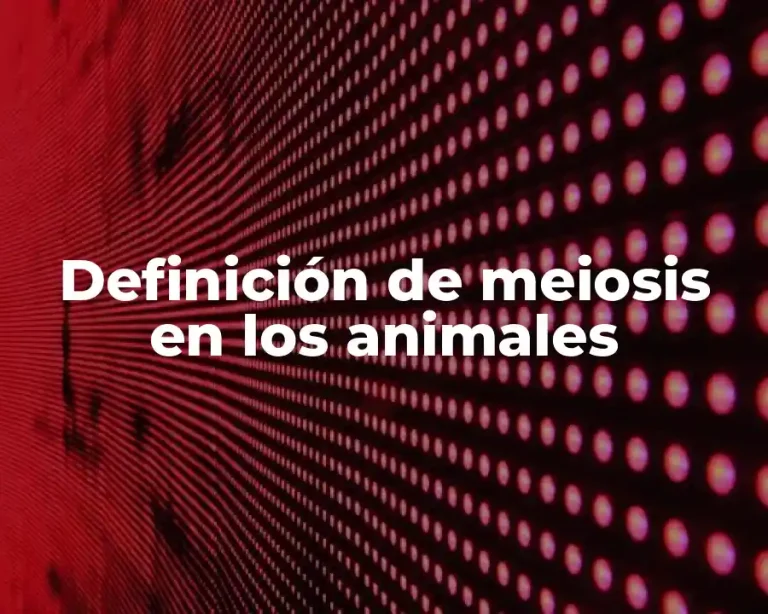 Definición de meiosis en los animales