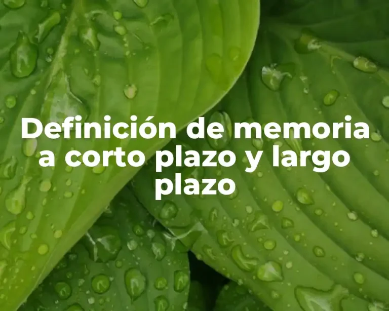 Definición de memoria a corto plazo y largo plazo