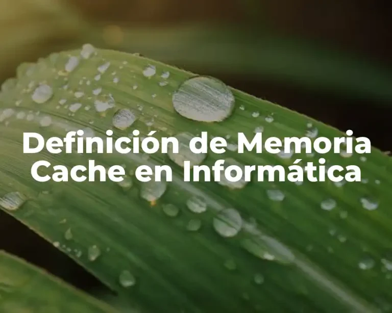 Definición de Memoria Cache en Informática