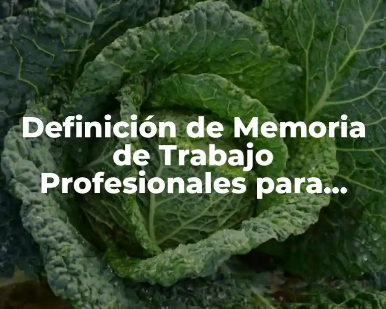 Definición de Memoria de Trabajo Profesionales para Titulación