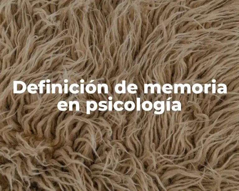 Definición de memoria en psicología